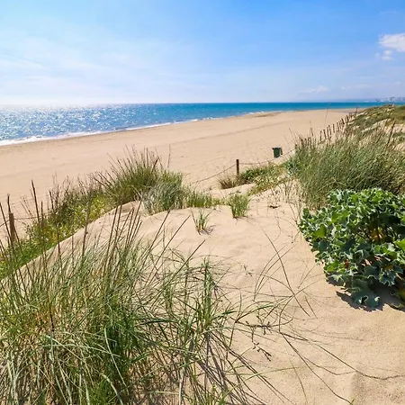 Beachfront - Los Monteros Palm Beach